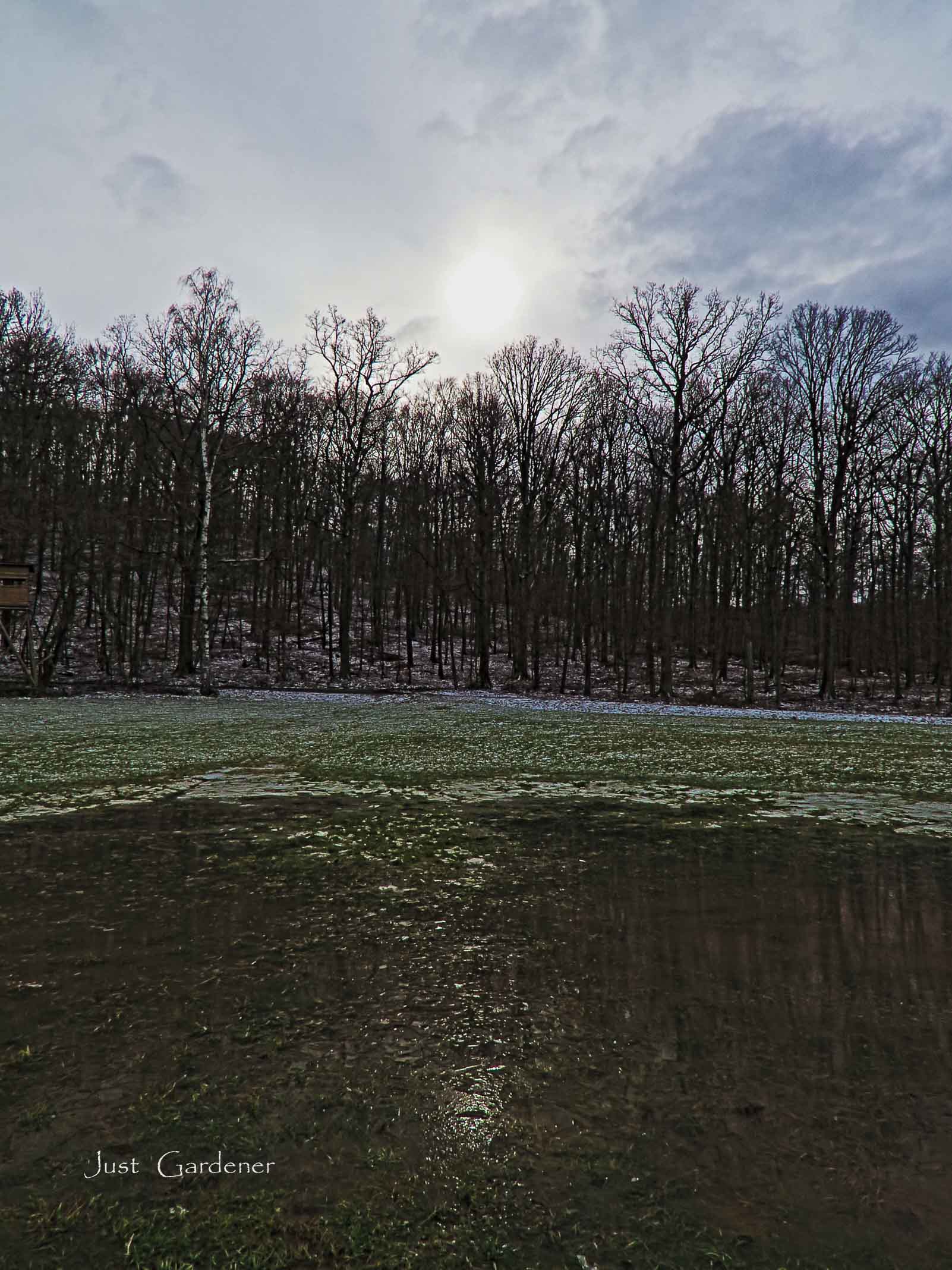 oo1_pol-filter_7.jpg