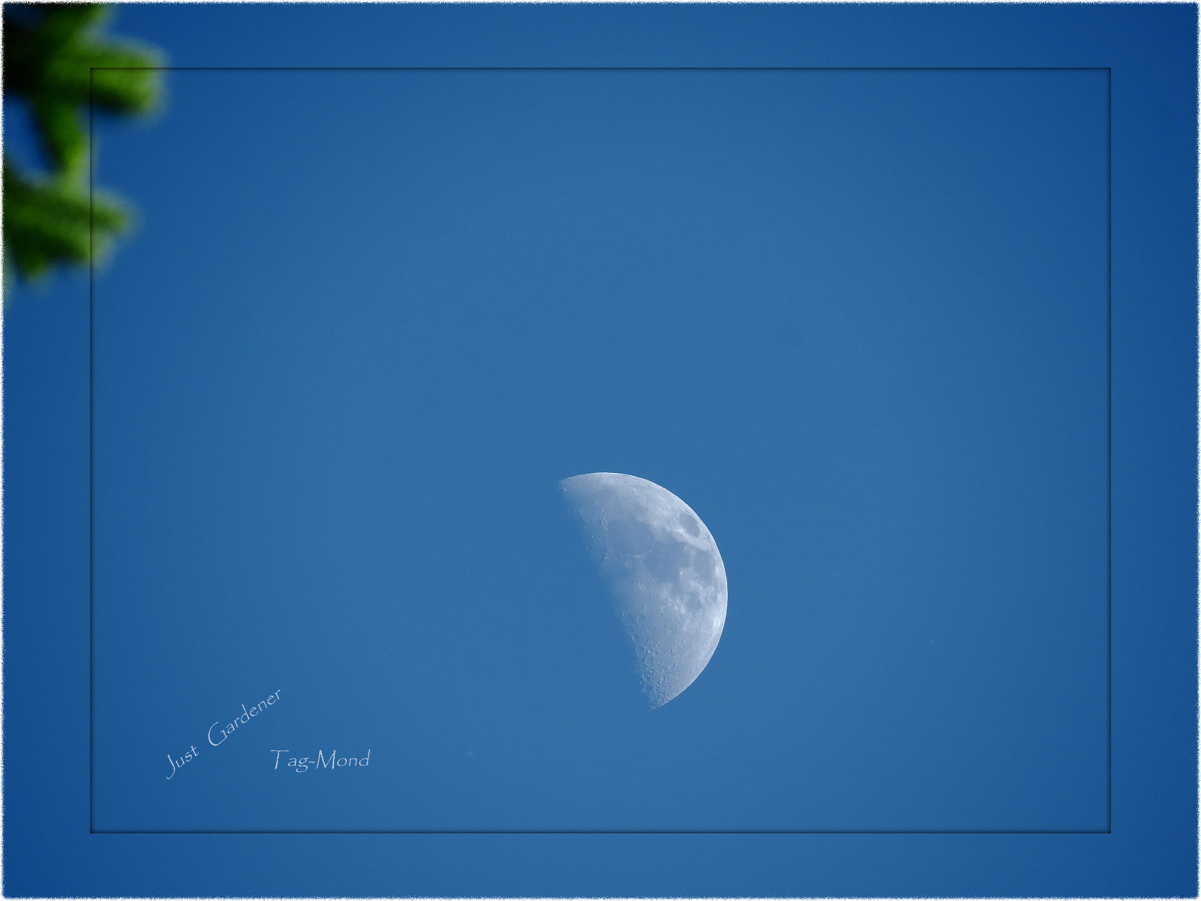 tag---mond-01.jpg